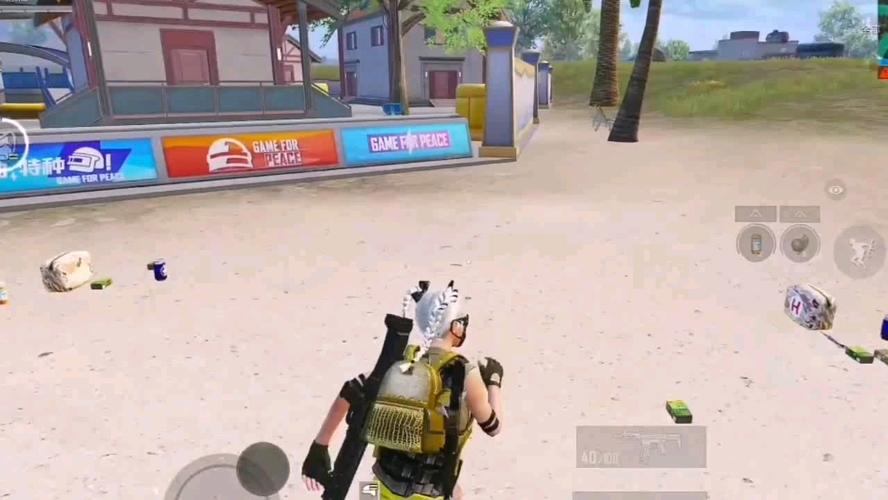 和平精英迪达拉Pro辅助