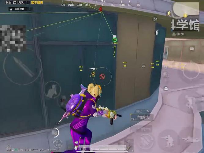 和平精英《向日葵》外挂